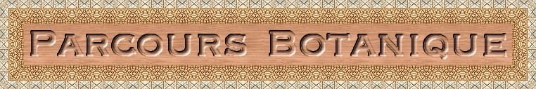 [Logo Parcours Botanique]
