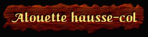 [Alouette hausse-col]