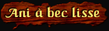 [Ani a bec lisse]