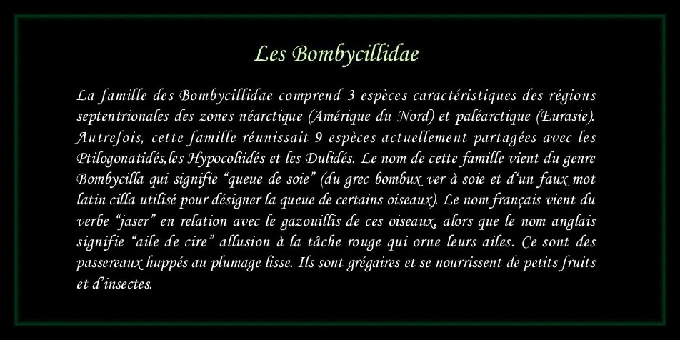 [Bombycillidae]