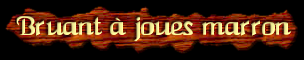 [Bruant à joues marron]