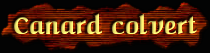 [Canard Colvert]