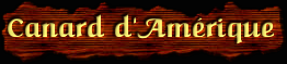 [Canard d'Amerique]