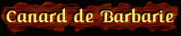 [Canard de Barbarie]