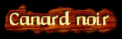 [Canard Noir]
