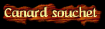 [Canard souchet]