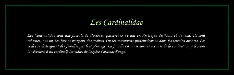 [Logo Cardinalidae]