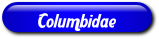 [Columbidae]