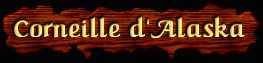 [Corneille d'Alaska]