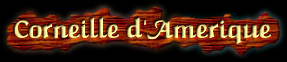 [Corneille d'Amérique]