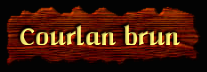 [Courlan brun]