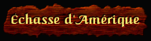 [Échasse d'Amérique]