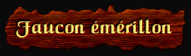 [Faucon Émérillon]