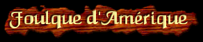 [Foulque d'Amérique]