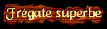 [Fregate superbe]