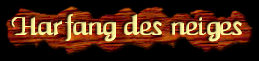 [Harfang des Neiges]