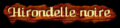 [Hirondelle Noire]