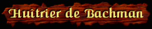 [Huitrier de Bachman]