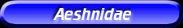 [Aeshnidae]