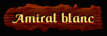 [Amiral Blanc]