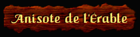 [Anisote de l'Érable]
