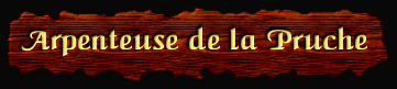 [Arpenteuse de la Pruche]