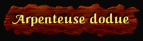 [Arpenteuse dodue]