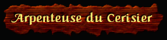 [Arpenteuse