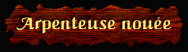 [Arpenteuse