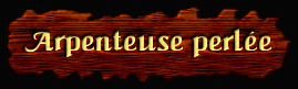 [Arpenteuse