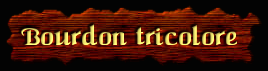 [Bourdon tricolore]
