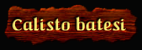 [Calisto