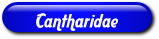 [Cantharidae]