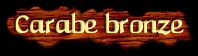 [Carabe bronzé]