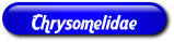 [Chrysomelidae]