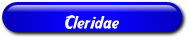 [Cleridae]