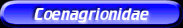 [Coenagrionidae]