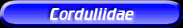 [Corduliidae]