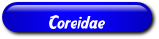 [Coreidae]