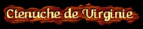[Ctenuche de Virginie]