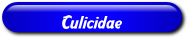 [Culicidae]