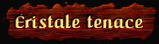 [Eristale tenace]