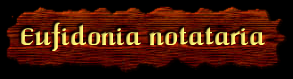 [Eufidonia notataria]