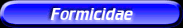 [Formicidae]