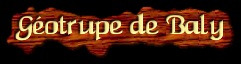 [Geotrupe