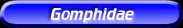 [Gomphidae]