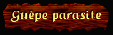 [Guepe parasite]