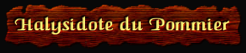 [Halysidote du Pommier]