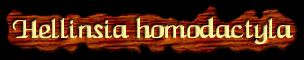 ["Hellinsia