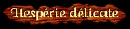 [Hesperie